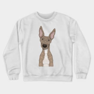 Cute fawn greyhound with white belly Crewneck Sweatshirt